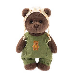 Teddy bear with clothing